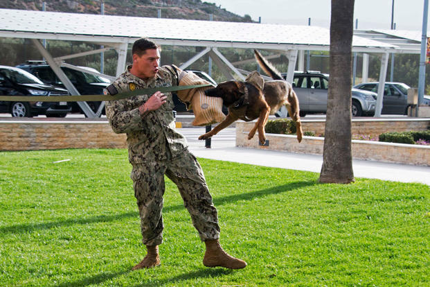 Master-at-Arms 1st Class Casey Kaiwi conducts aggression training with Military Working Dog Diego onboard Naval Support Activity (NSA) Souda Bay February 28, 2018. (U.S. Navy/Joel Diller)
