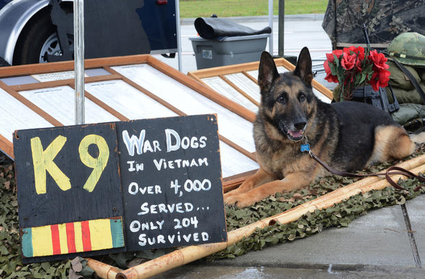 Luke, a retired military working dog, sits at the United States War Dogs Association display at the 2016 Shaw Air Expo and open house, "Thunder Over the Midlands," at Shaw Air Force Base, S.C., May 21, 2016. (U.S. Air Force/Zade Vadnais)