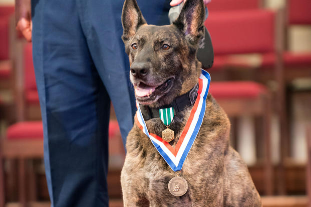 Tommy, a Chief Explosives Detection canine stationed at Coast Guard Maritime Safety and Security Team Kings Bay, receives applause Thursday, July 27, 2017, during his retirement ceremony in St. Marys, Georgia. Tommy has served in the Coast Guard for nine years and has been on 24 deployments. (U.S. Coast Guard/Anthony L. Soto)
