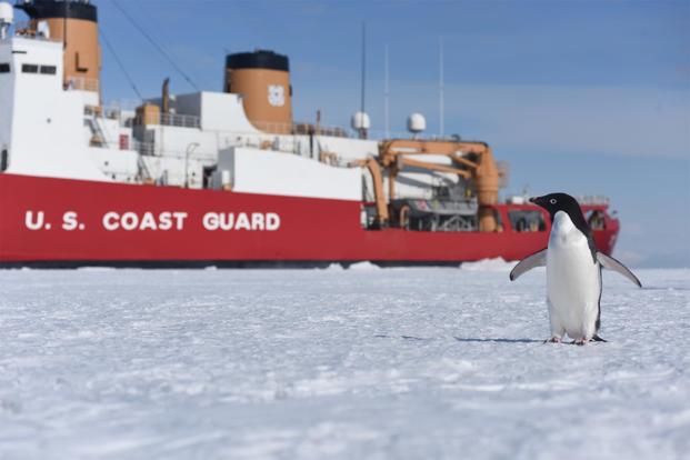 A curious Adelie penguin stands near the Coast Guard Cutter Polar Star on McMurdo Sound, Antarctica, Jan. 7, 2016. (U.S. Coast Guard/Petty Officer 2nd Class Grant DeVuyst)