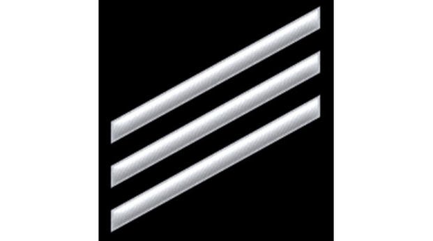 Navy Seaman insignia