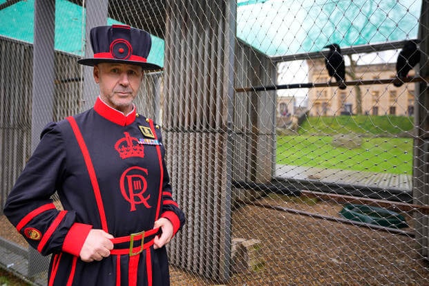 The Tower of London’s New Ravenmaster Takes Charge of the Landmark’s Iconic Flock
