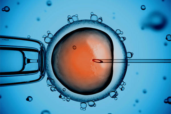 In vitro fertilization. Source: Centers for Disease Control