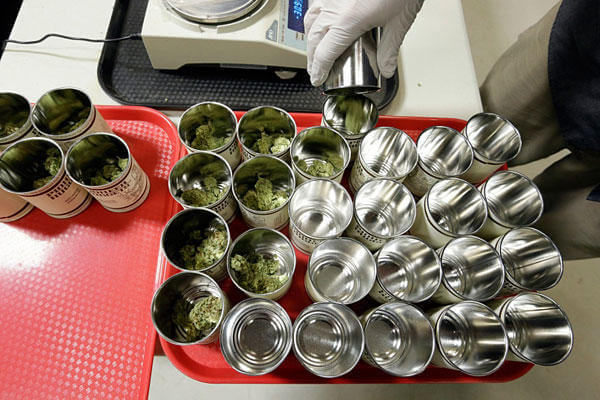 In this photo taken Tuesday, Jan. 13, 2015, marijuana is measured in 3.5-gram amounts and placed in cans for packaging at the Pioneer Production and Processing marijuana growing facility in Arlington, Wash. Elaine Thompson/AP