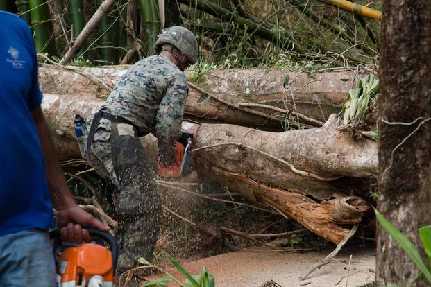 A U.S. Marine with the 26th Marine Expeditionary Unit (MEU), and a resident work to clear a tree blocking a main road as part of Hurricane Maria relief efforts in Ceiba, Puerto Rico, Sept. 27, 2017. (U.S. Marine Corps/Lance Cpl. Alexis C. Schneider)