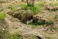 A 1st Battalion, 175th Infantry, soldier practices camouflage, cover and concealment with the Flame Resistant Ghillie Suit, or FRGS, during training at Fort A.P. Hill, Va., in November 2012. (Army photo)