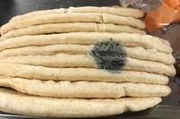 Photo of moldy pita bread.