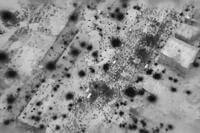 Palestinians surround aid trucks in northern Gaza.